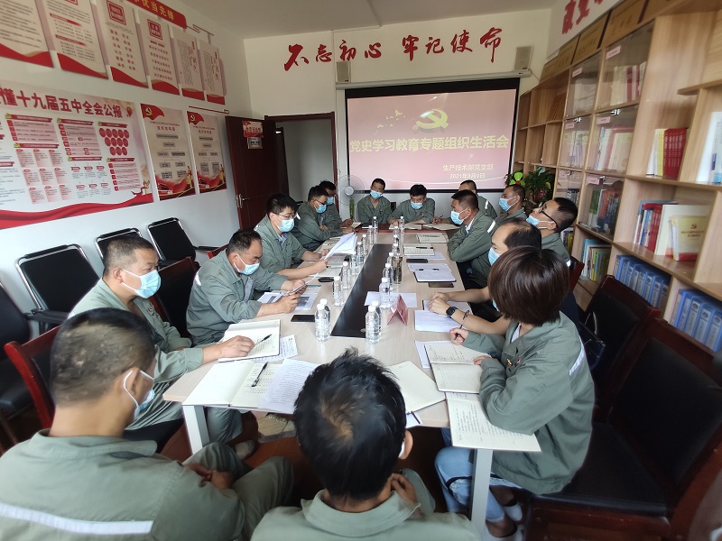 實(shí)、準、狠三字訣 助力黨史學(xué)習教育專(zhuān)題組織生活會(huì )走深走實(shí)